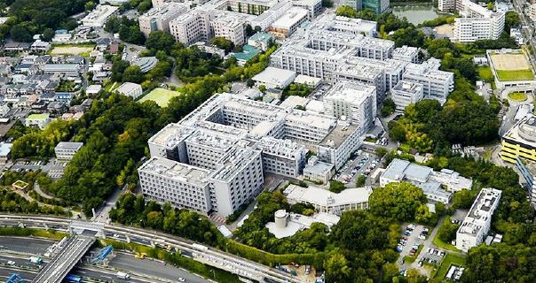 大学概要